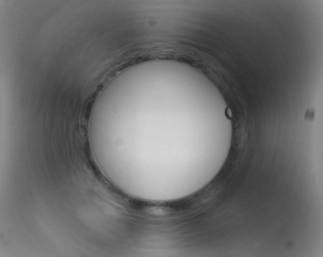 X0000113610654200909181053
