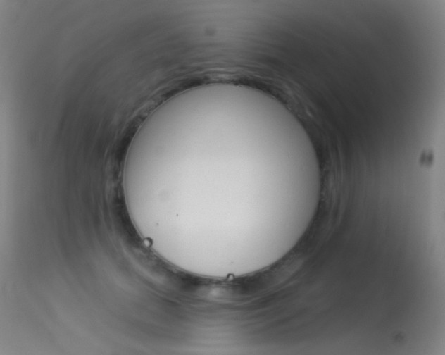 X0000113610655200909181053