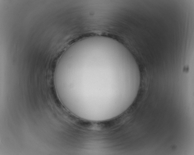 X0000113610656200909181053