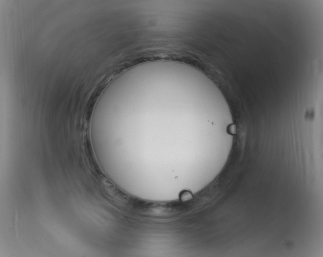 X0000113610657200909181053