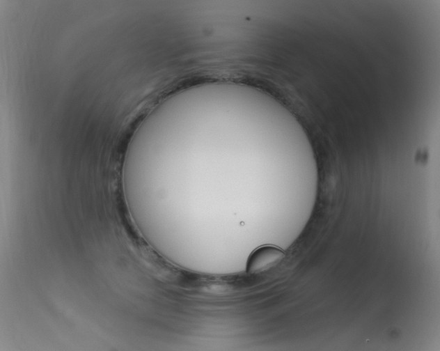 X0000113610658200909181053