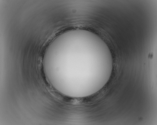 X0000113610660200909181053