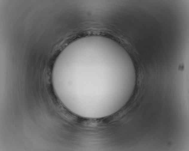 X0000113610661200909181053
