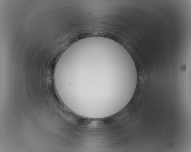 X0000113610663200909181053