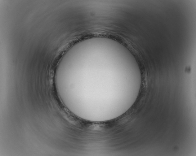 X0000113610664200909181053