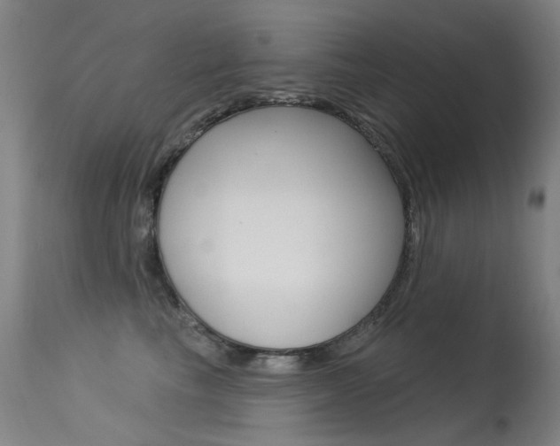 X0000113610665200909181053