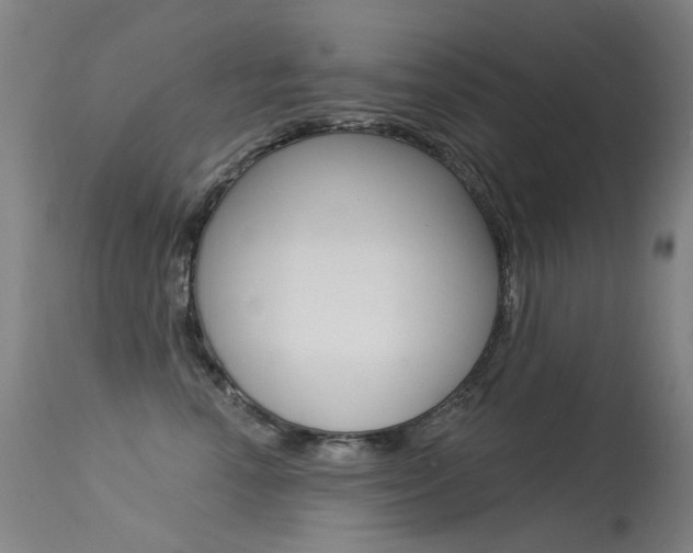 X0000113610666200909181053