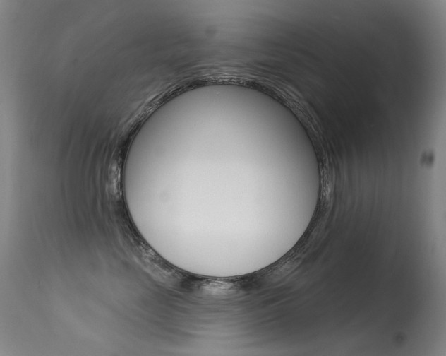 X0000113610669200909181053