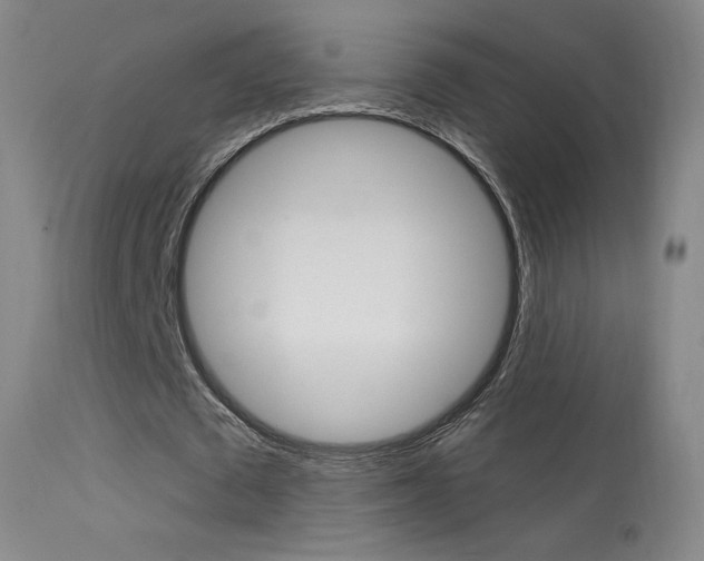 X0000113610673200909181052