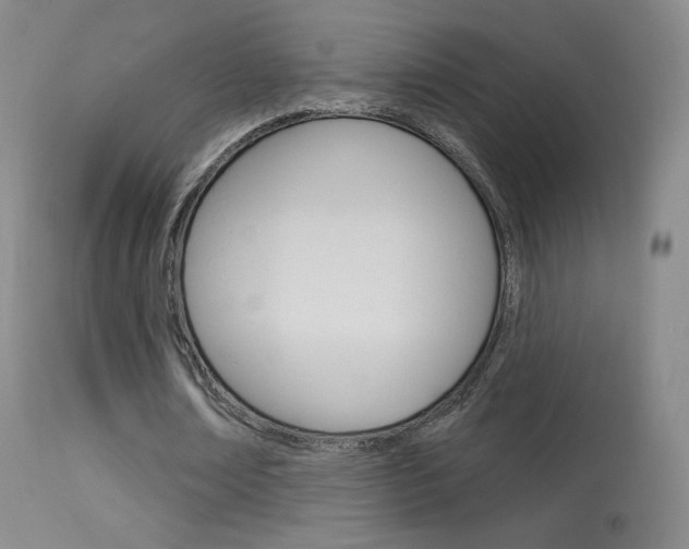 X0000113610674200909181052