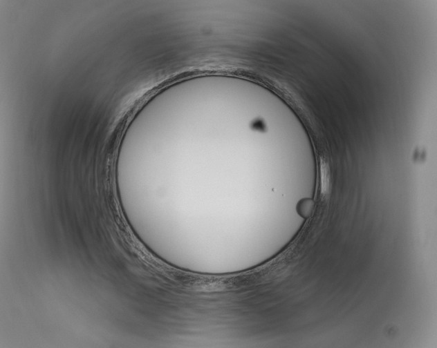 X0000113610675200909181052