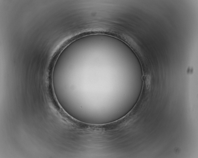X0000113610676200909181052