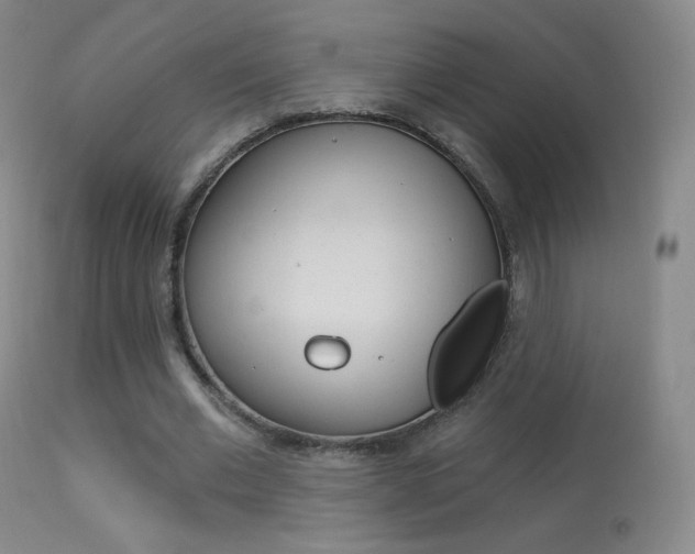X0000113610677200909181052