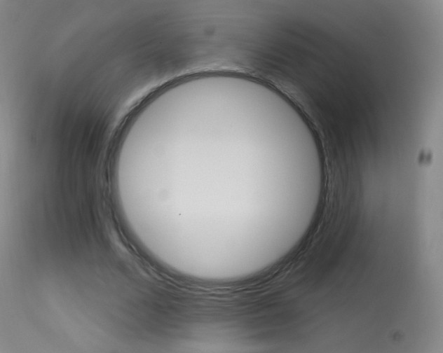 X0000113610680200909181052