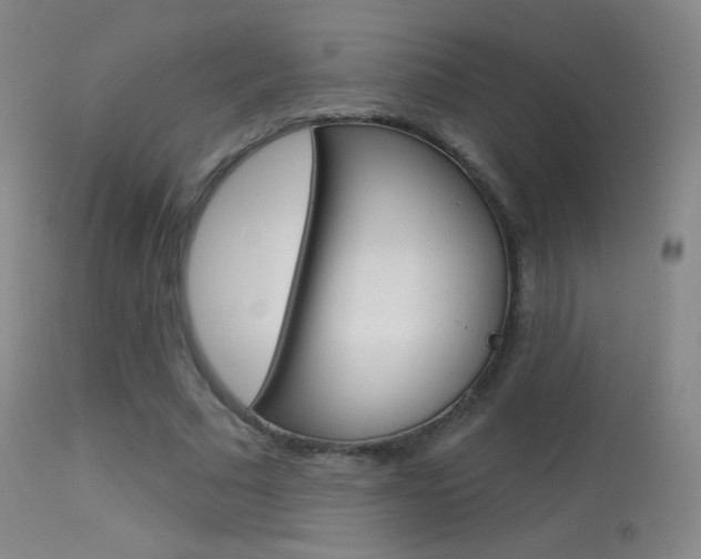 X0000113610681200909181052