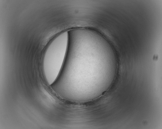 X0000113610683200909181052