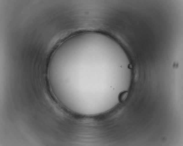 X0000113610685200909181052