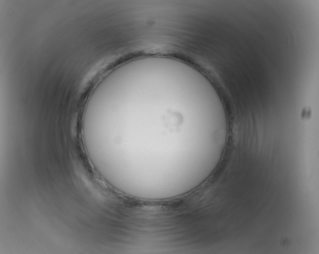 X0000113610686200909181052