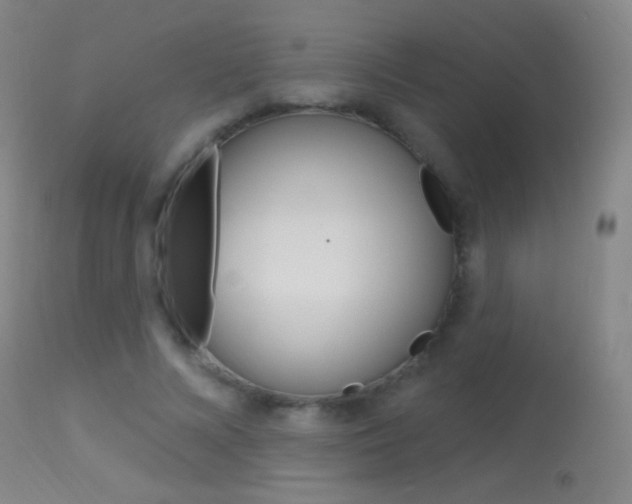 X0000113610688200909181052
