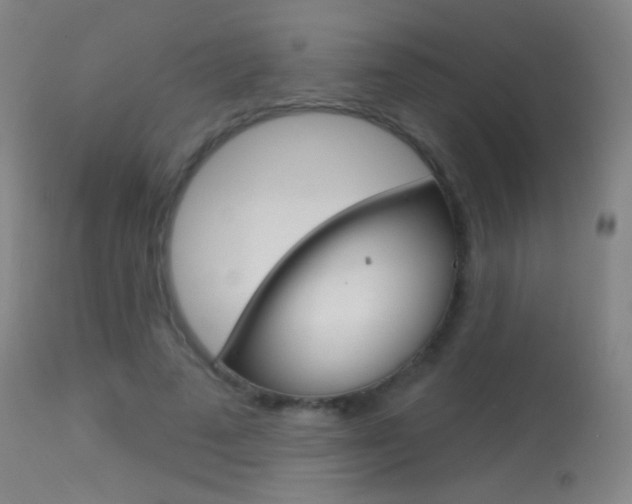 X0000113610689200909181052