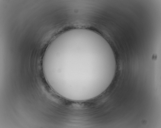 X0000113610690200909181052