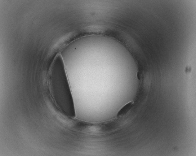 X0000113610692200909181052
