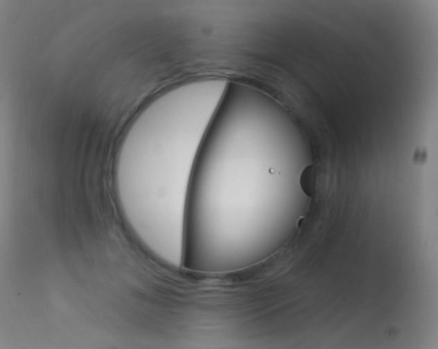 X0000113610700200909181052