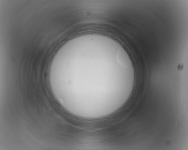 X0000113610701200909181052