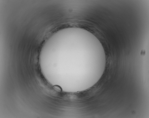 X0000113610702200909181052