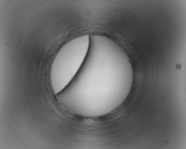 X0000113610703200909181052