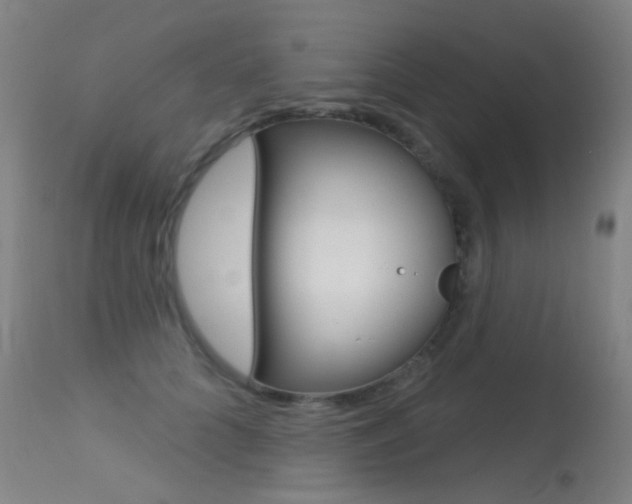 X0000113610704200909181052