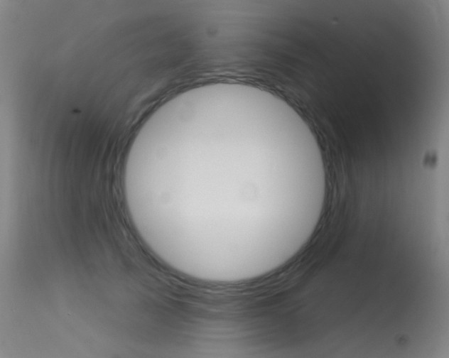 X0000113610705200909181052