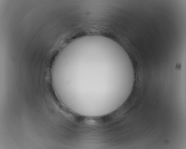 X0000113610706200909181052