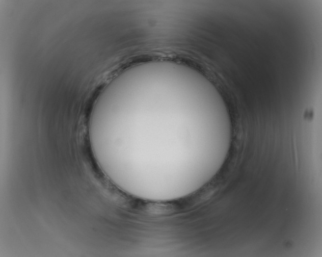 X0000113610707200909181052