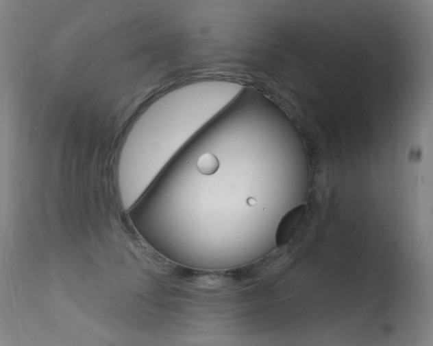 X0000113610708200909181052
