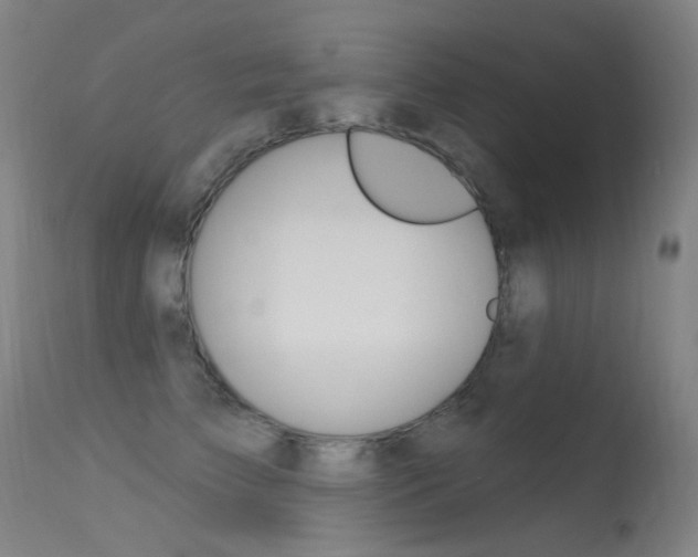 X0000113610709200909181052