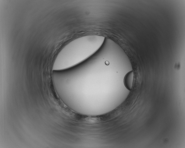 X0000113610711200909181052
