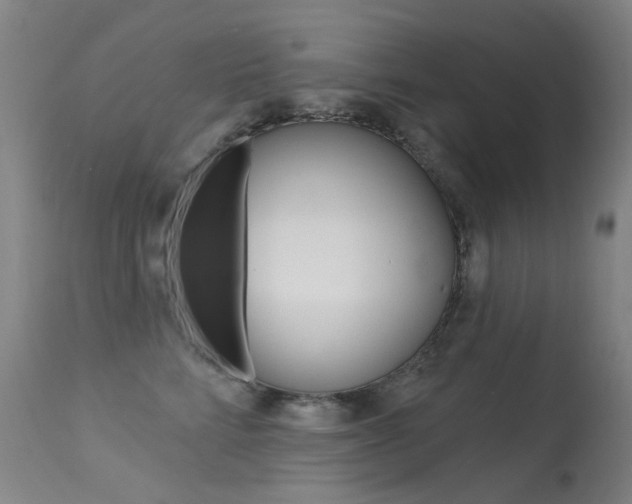 X0000113610712200909181052