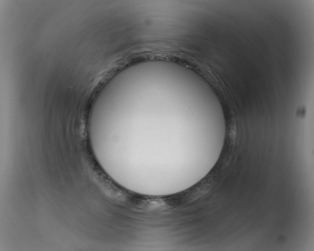 X0000113610715200909181052