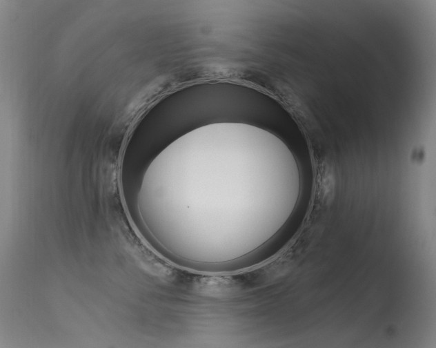 X0000113610716200909181052