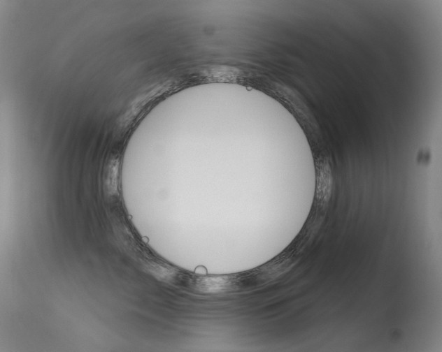 X0000113610717200909181052