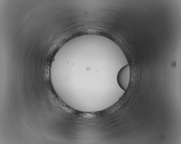 X0000113610718200909181052