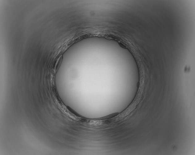 X0000113610720200909181051