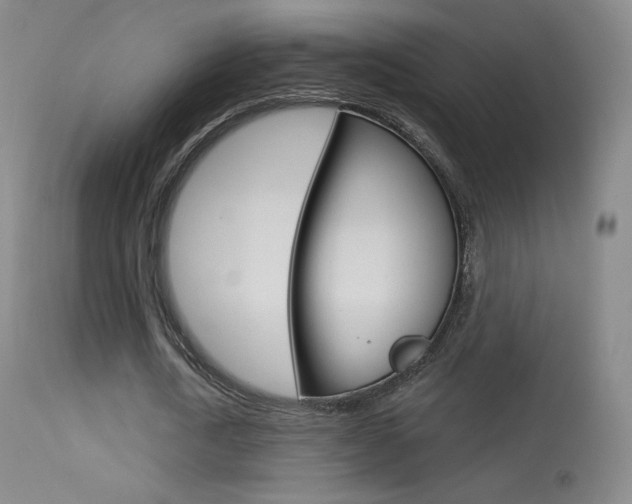 X0000113610722200909181051