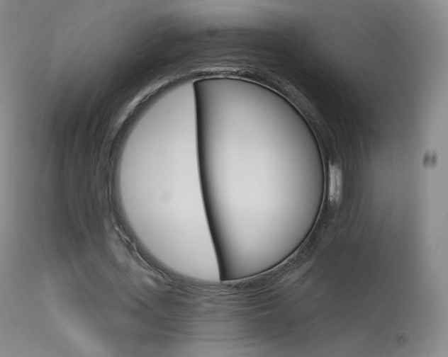 X0000113610723200909181051