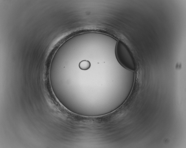 X0000113610724200909181051