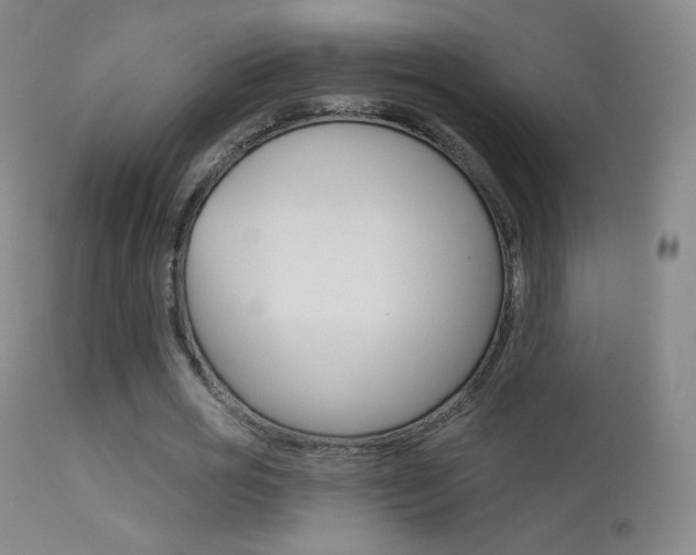X0000113610725200909181051
