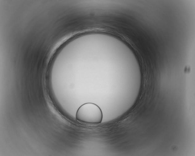 X0000113610726200909181051