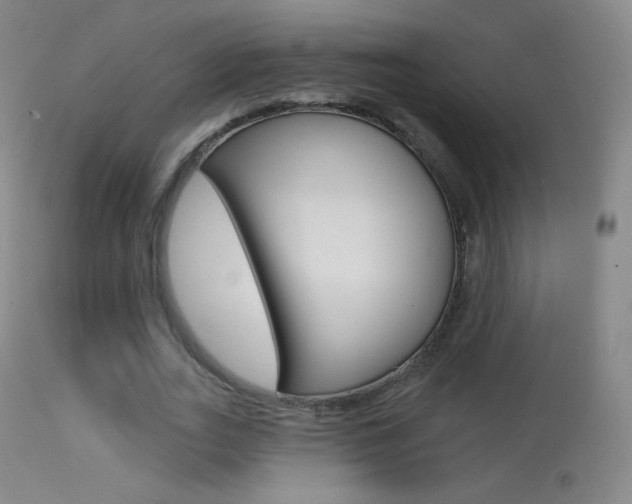 X0000113610727200909181051