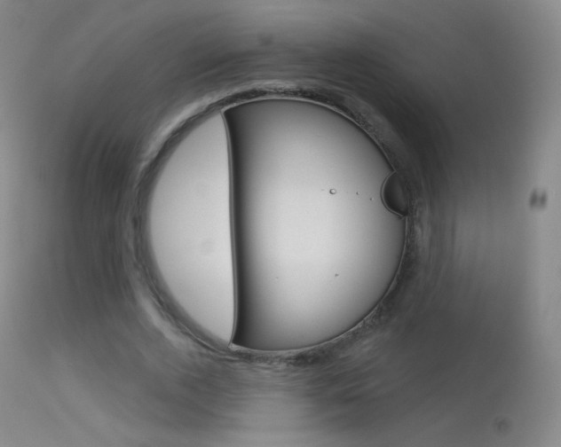 X0000113610728200909181051